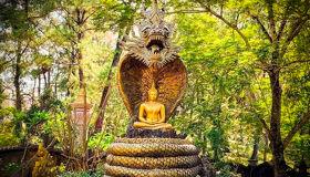 Capture the spiritual essence of Hue’s temples